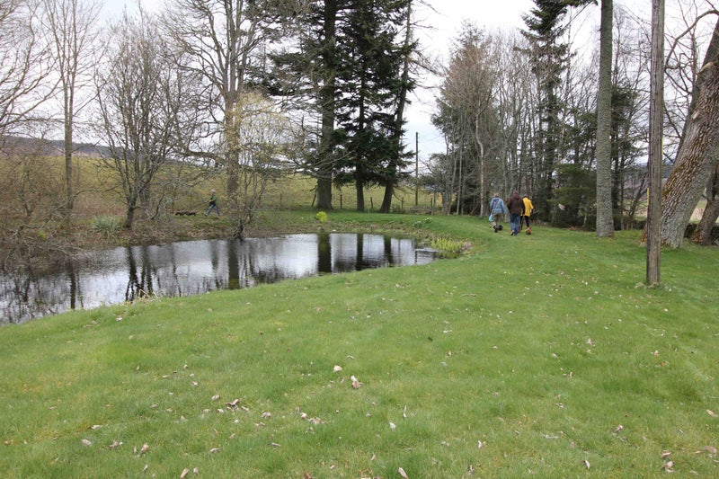 'Blairgowrie, Perth Homeshare Photo 4