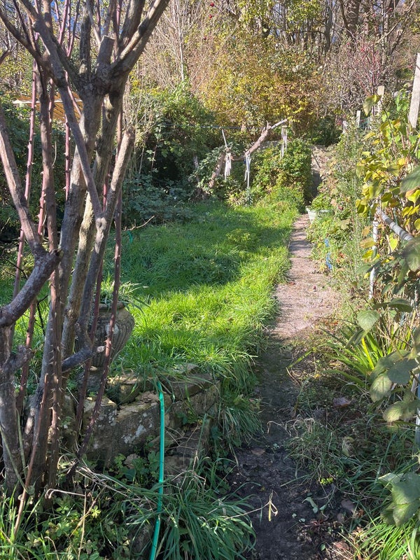 'Bath Homeshare Photo 5