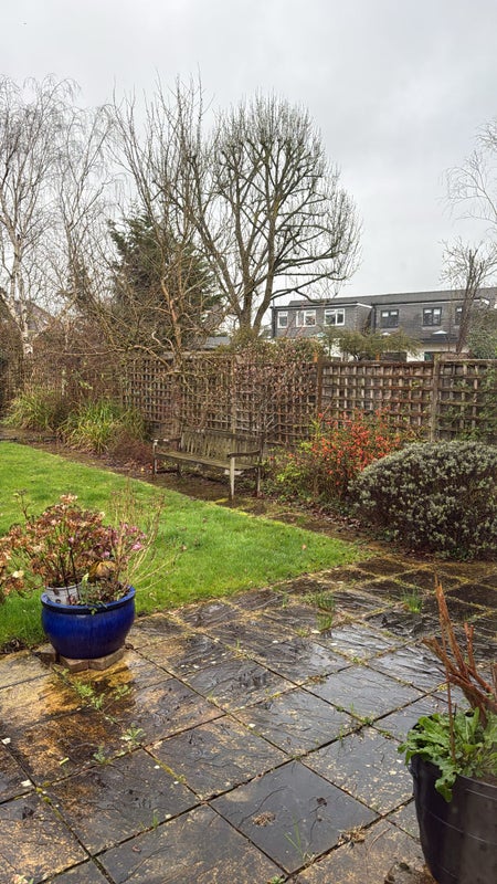 Ickenham double & ensuite £449 p/m Homeshare Photo 4