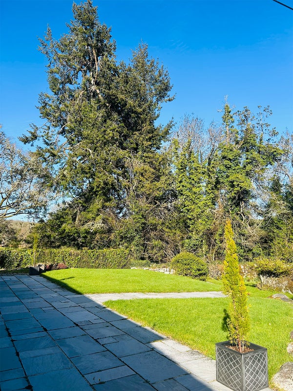 'Chagford Homeshare Photo 7