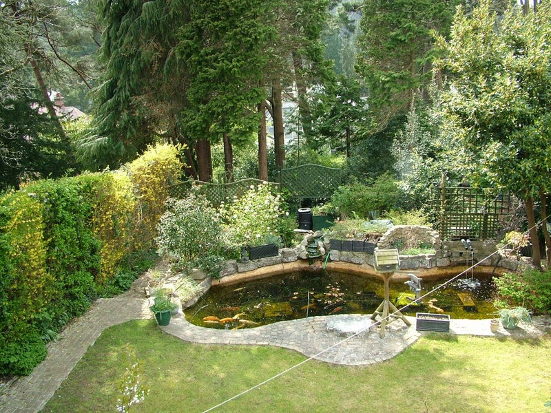 'Bournemouth £399 p/m part of a Homeshare Photo 6
